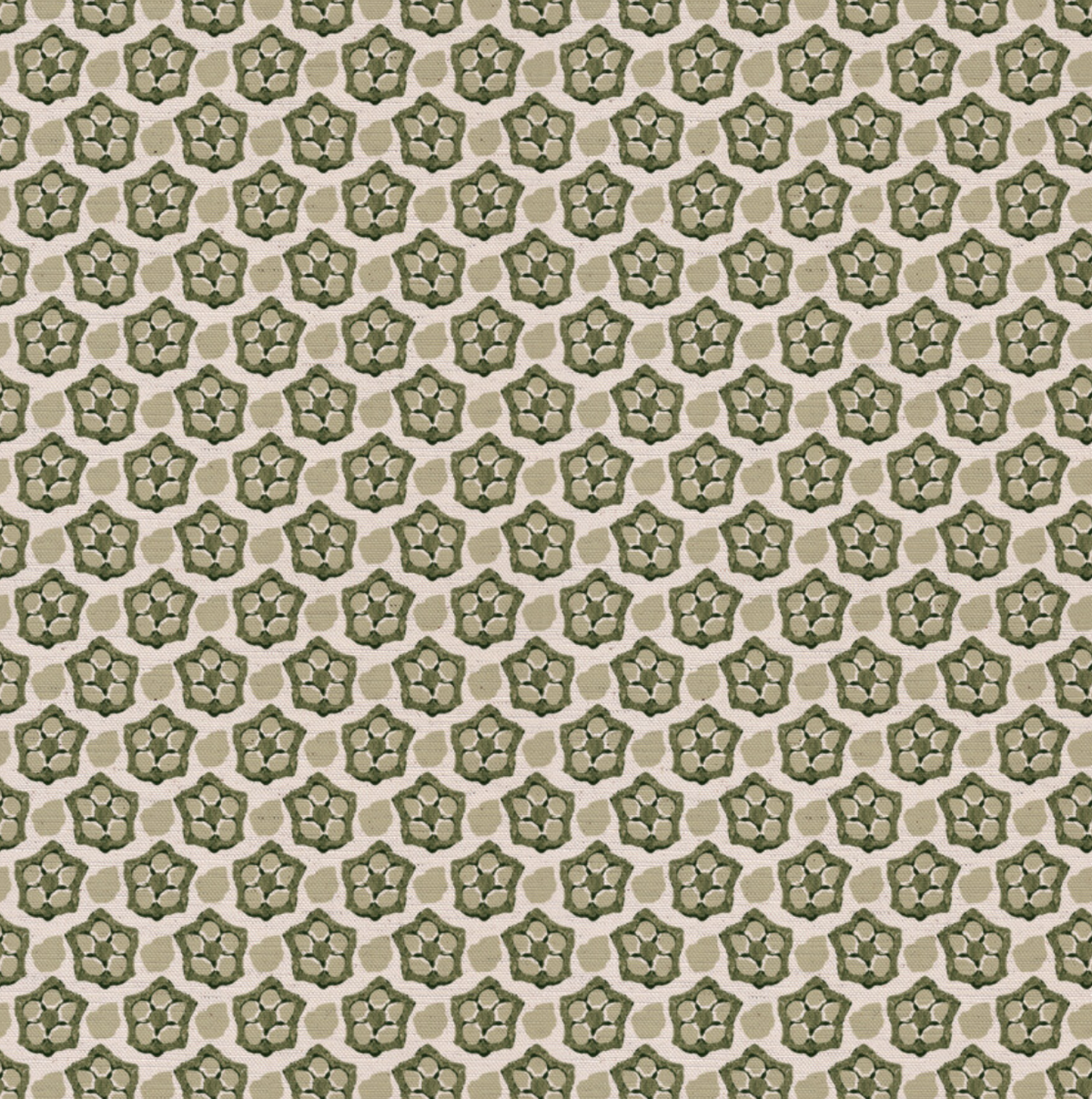 Okra - Olive