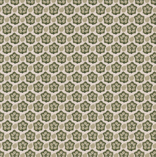 Okra - Olive