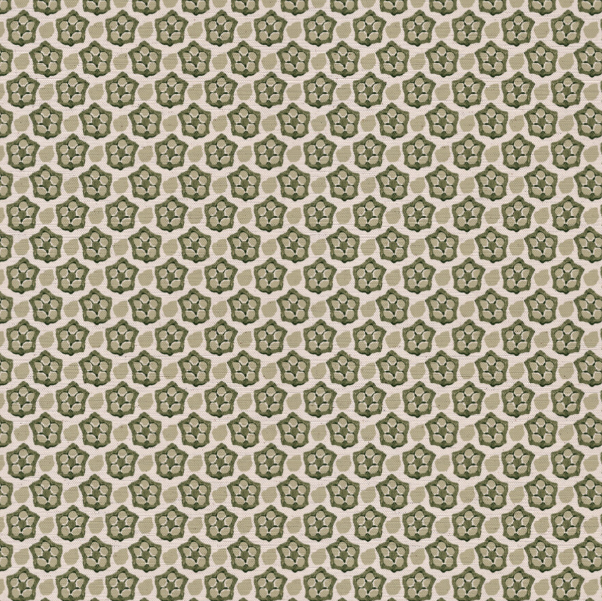 Okra - Olive